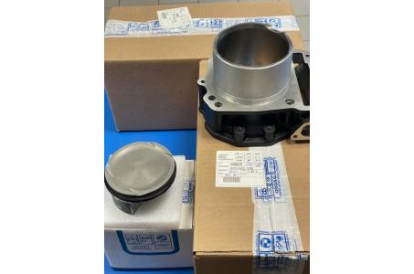 CYLINDRE + PISTON SHIVER 900 